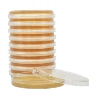 TSA (Tryptic Soy Agar), SterEM™, USP, 34ml fill`