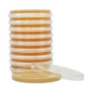TSA (Tryptic Soy Agar), SterEM™, USP, 26ml fill