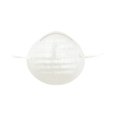 ProWorks® Nuisance Disposable Mask